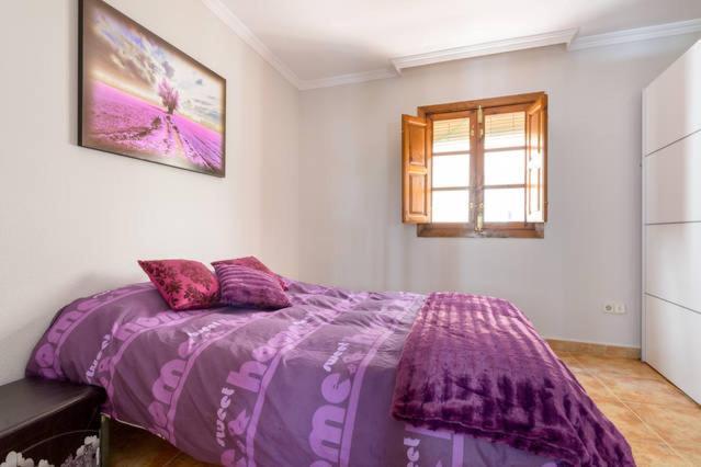Apartamento En Pleno Centro, Wifi, Ideal Leilighet Granada Eksteriør bilde